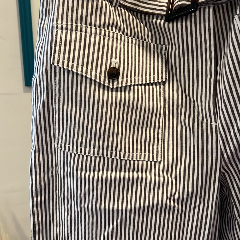 LOFT 8T striped pants with adjustable belt NWT - Picture 6 of 9